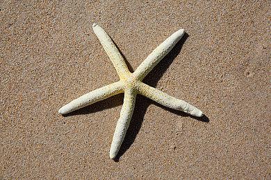 CDPR发表新春祝福 祝中国玩家新春快乐